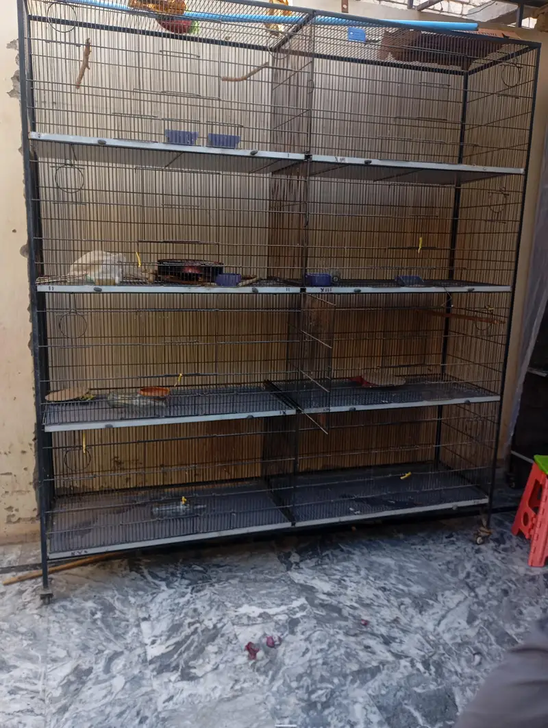 cages for birds — photo 5