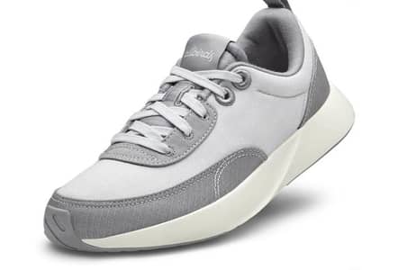 ALLBIRDS MEN'S COURIERS