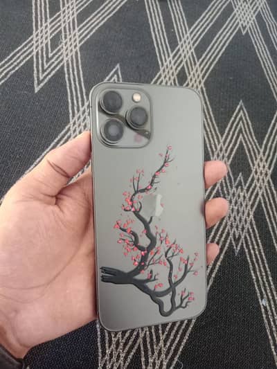 Apple iPhone 13 Pro Max