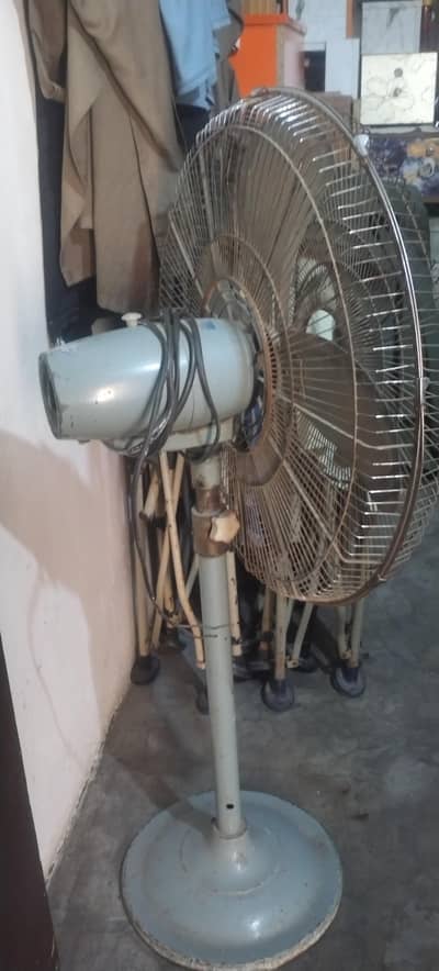 origanal royal fan