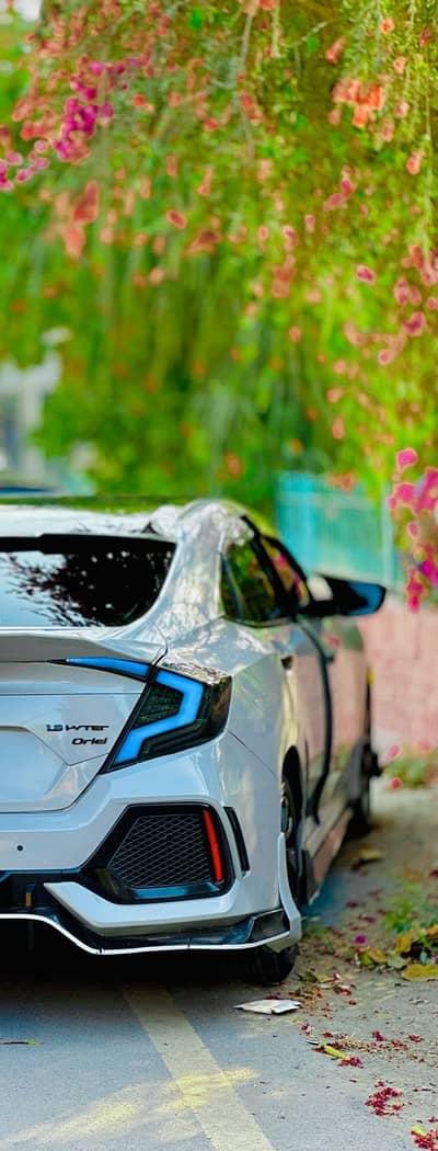 Bumper lights
