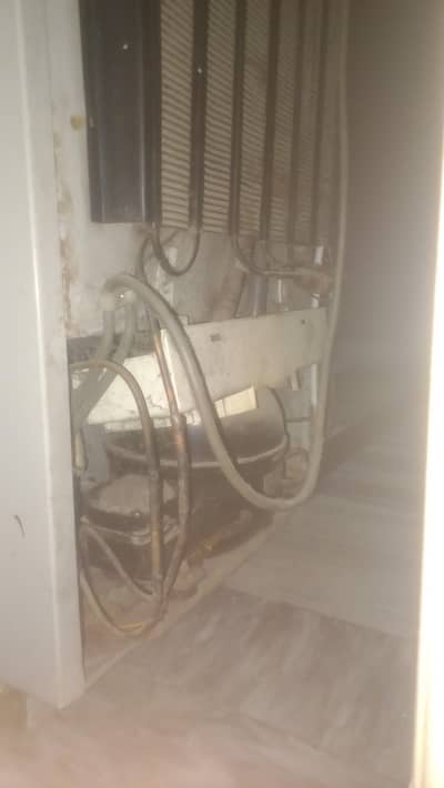 dalance frige for sale