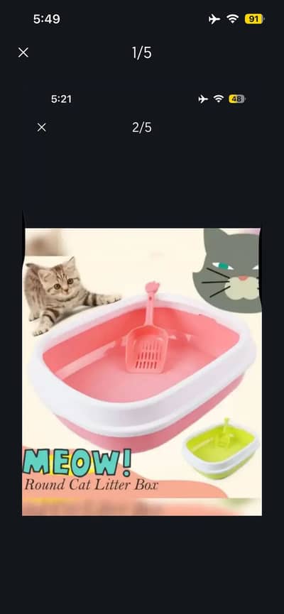 Best cat accessories deals