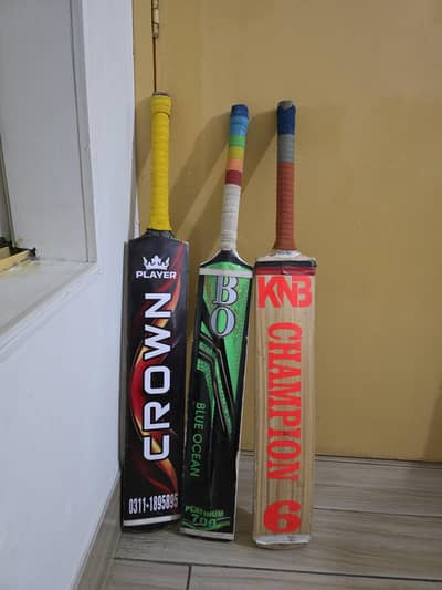 cricket bat