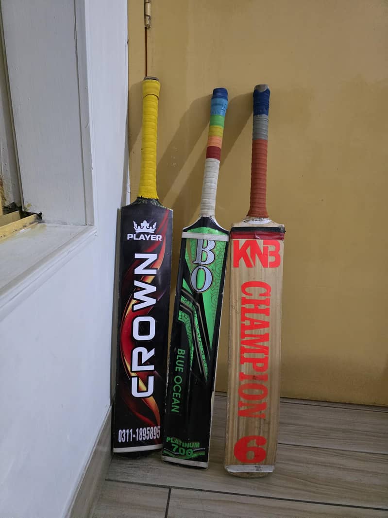 cricket bat 1