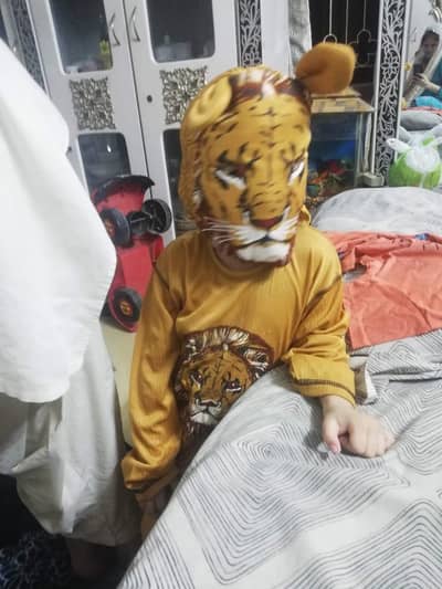 lion costume