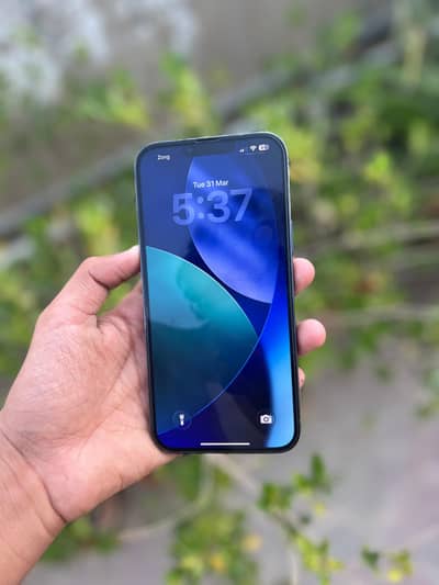 Apple iPhone 13 Pro Max 256 gb