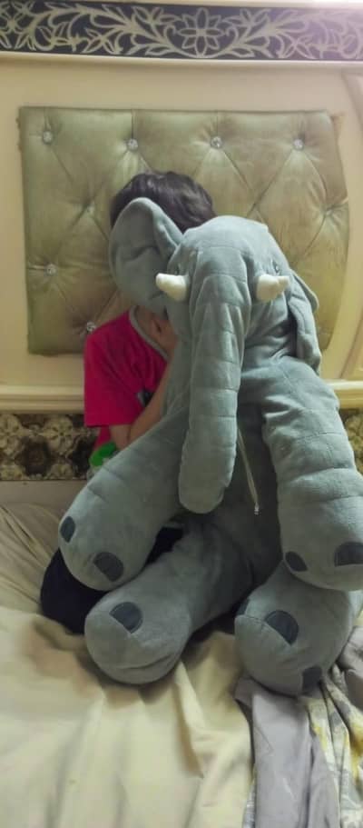 elephant pillow