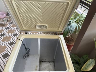 Waves freezer single door