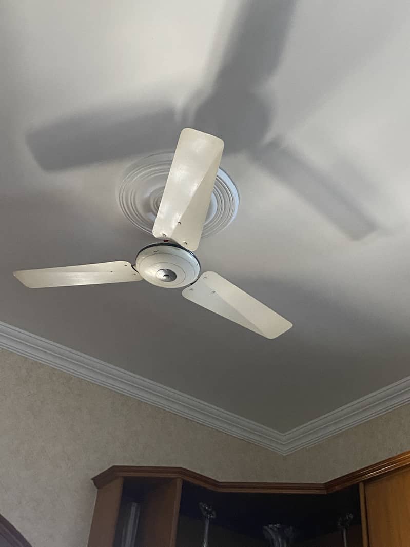 Ceiling Fans 0