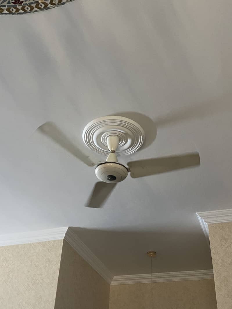 Ceiling Fans 1