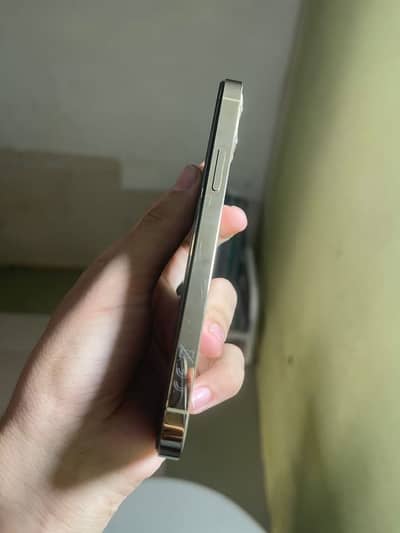 Apple iPhone 12 Pro