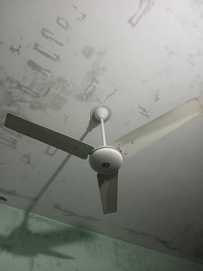 ceiling fan 2 adad