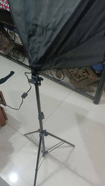 Softbox Light 5