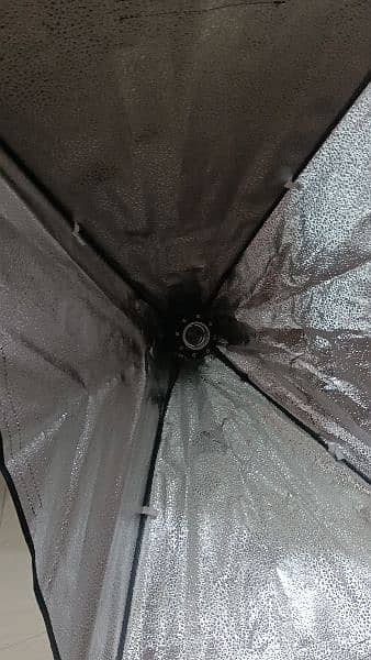 Softbox Light 8