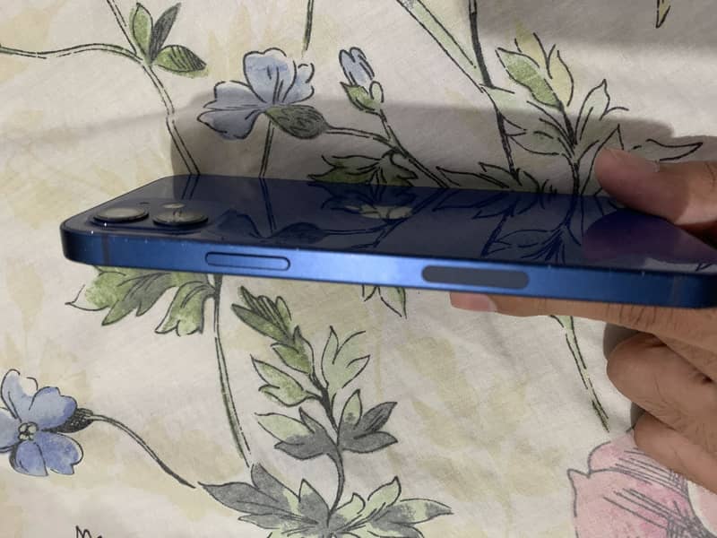 Apple iPhone 12 2