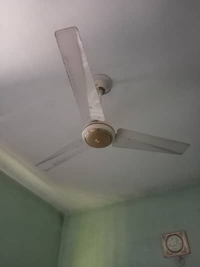 ceiling fan 2 adad