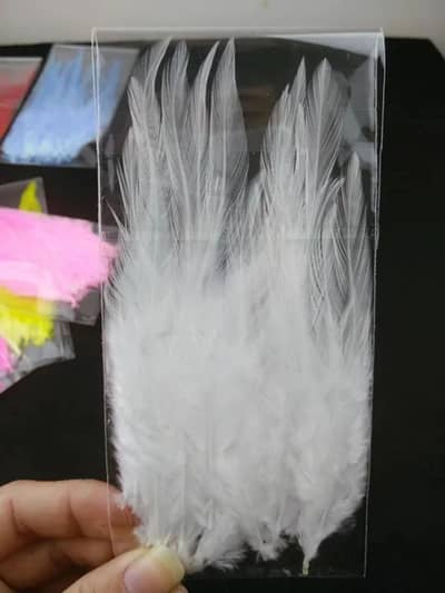 White Layer Murg