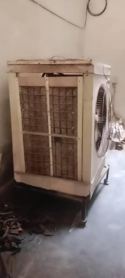 Lahorei cooler