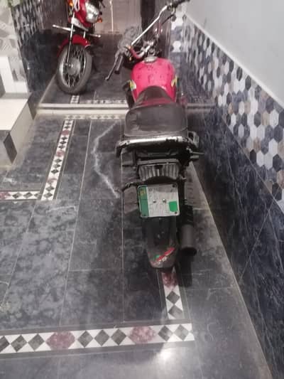 whatsapp number 03037054235