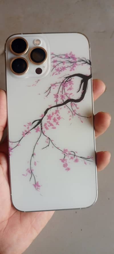 Apple iPhone 13 Pro Max