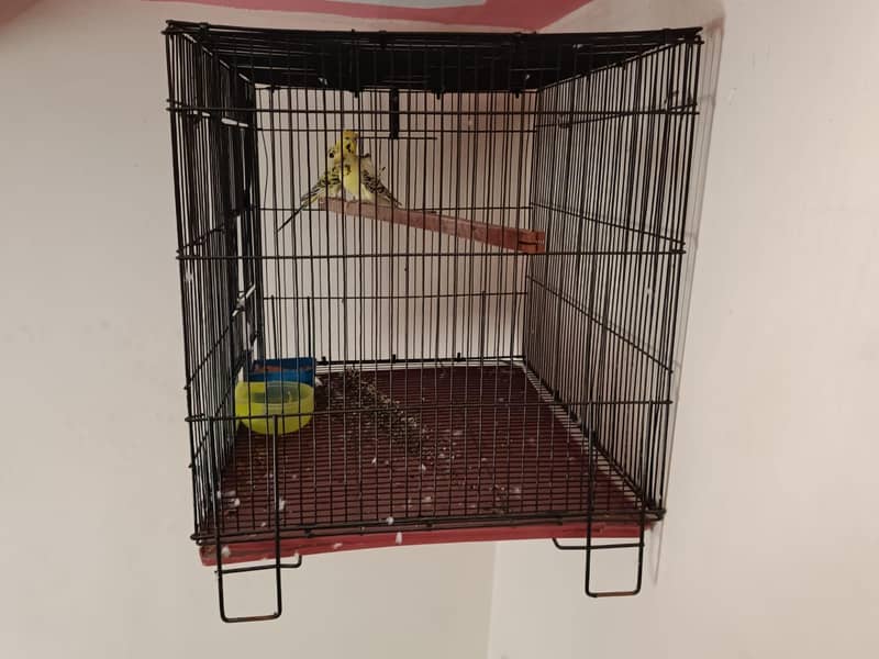 cage (folding) 0