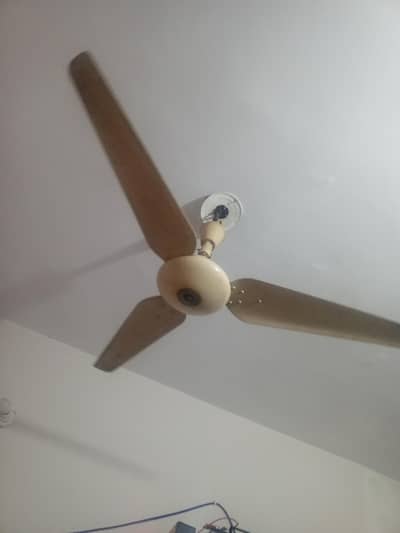 Fans For Sale