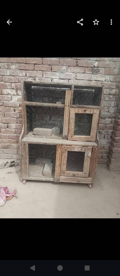 cage for Birds or hen