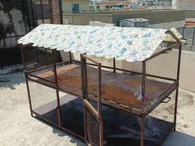 Birds Cage