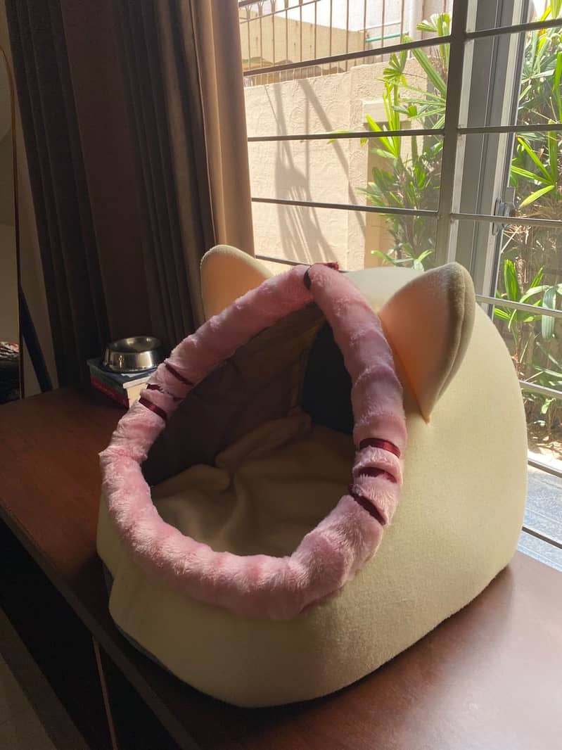 Cat bed 2