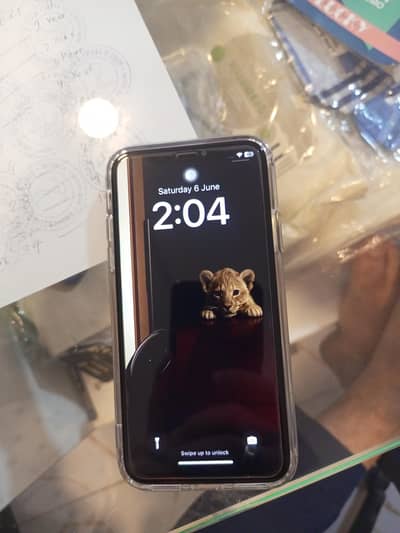 Apple iPhone X