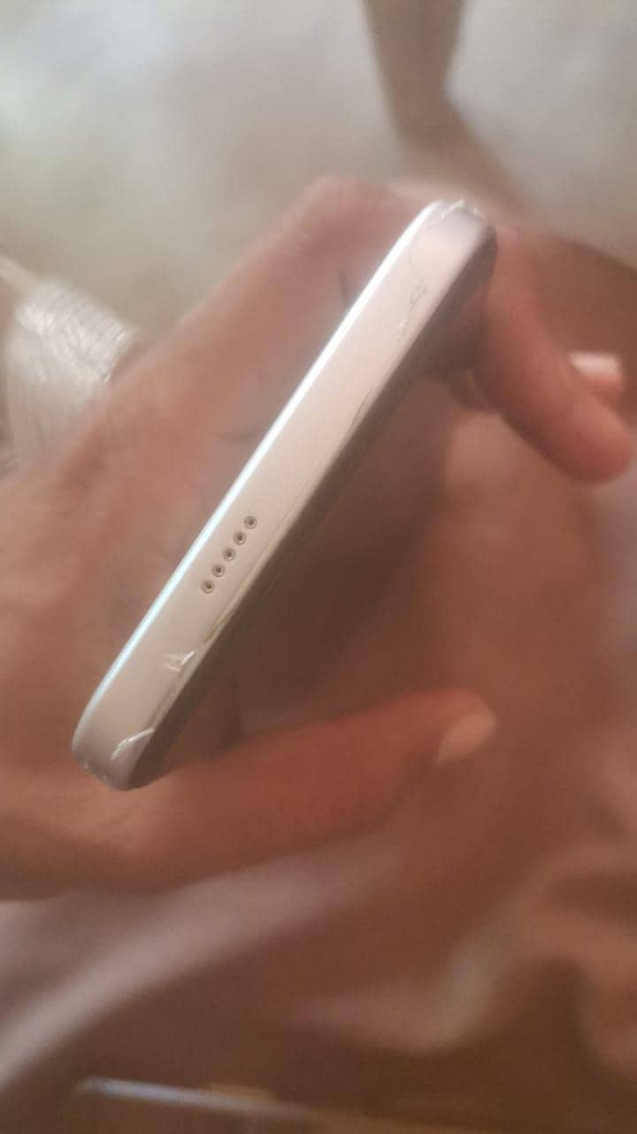 Dcode Bold 4 1