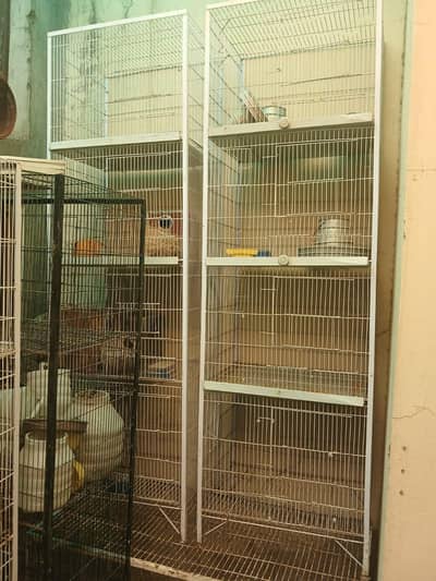 cages for bird.