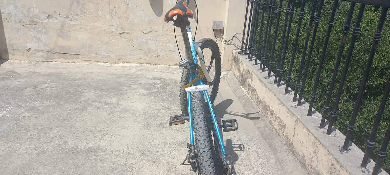 Huffy cycle 1