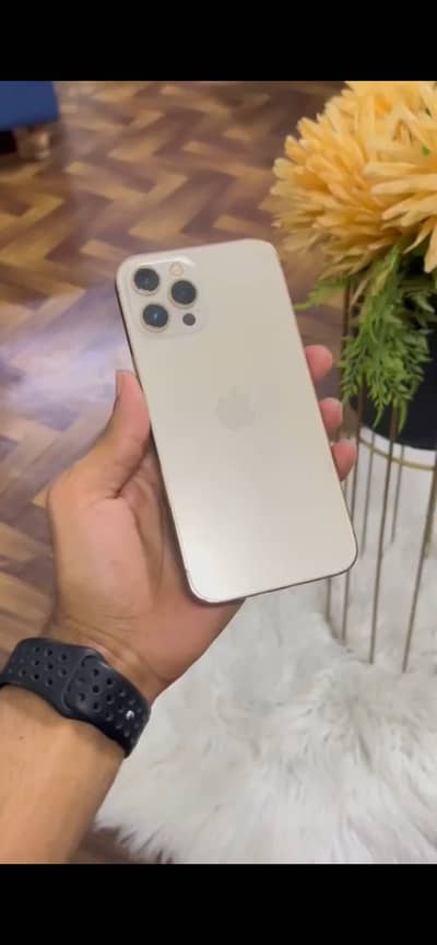 Apple iPhone 12 Pro Max 256 Gb PTA