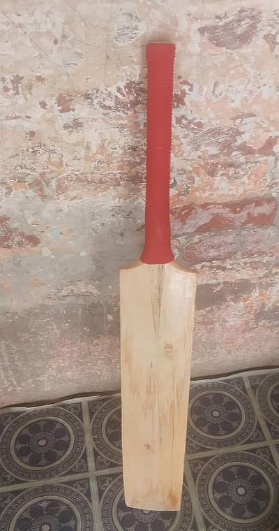 Bat. . . .