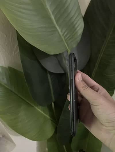 Apple iPhone XR