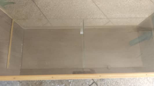 2 showcase for sale