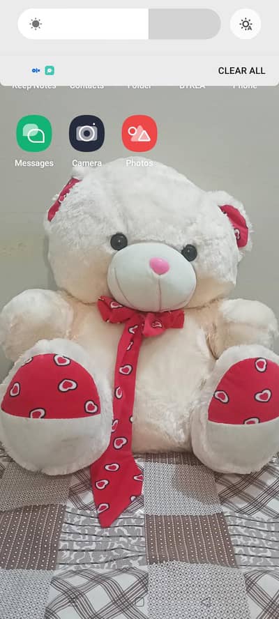 Tedy Bear