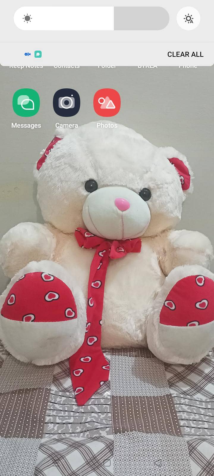 Tedy Bear 0