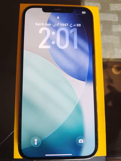 Apple iPhone 12 Pro Max