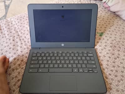 Hp Chromebook All ok