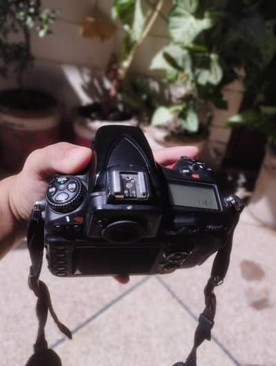 Nikon 810 lens 24_120