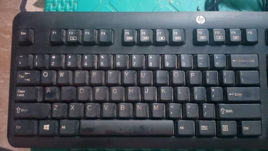 HP Original USB Keyboard – Excellent Condition | Smooth Typing
