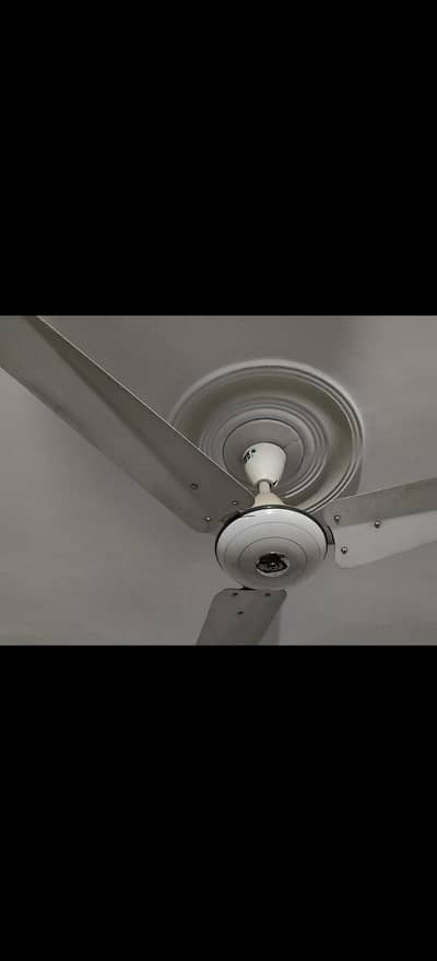 Pak Fan 56 Inches - Excellent Condition  (Qty: 3 Fans) Price: 6000 Per