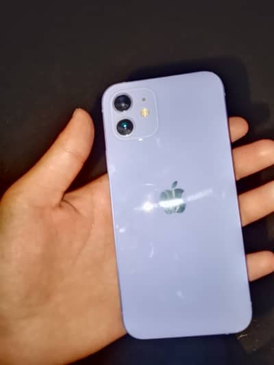 Apple iPhone 12