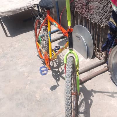 new cycle