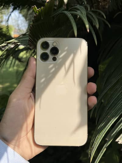 Apple iPhone 12 Pro