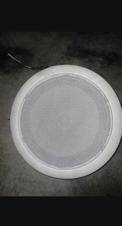 seiling mount speaker