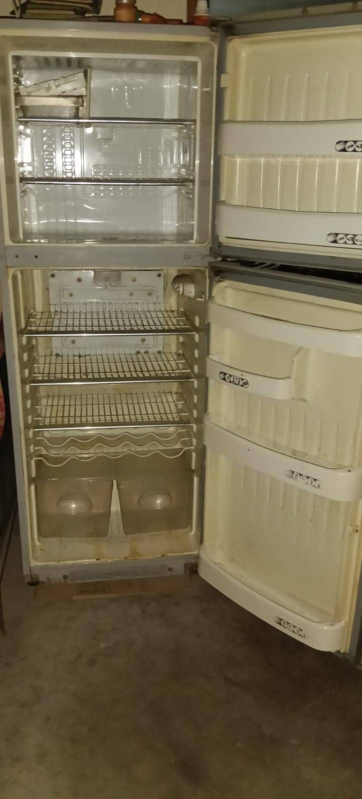 fridge 1